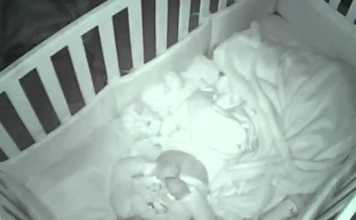 Adorable Toddler Was Caught Saying Her Good Night Prayer On Camera